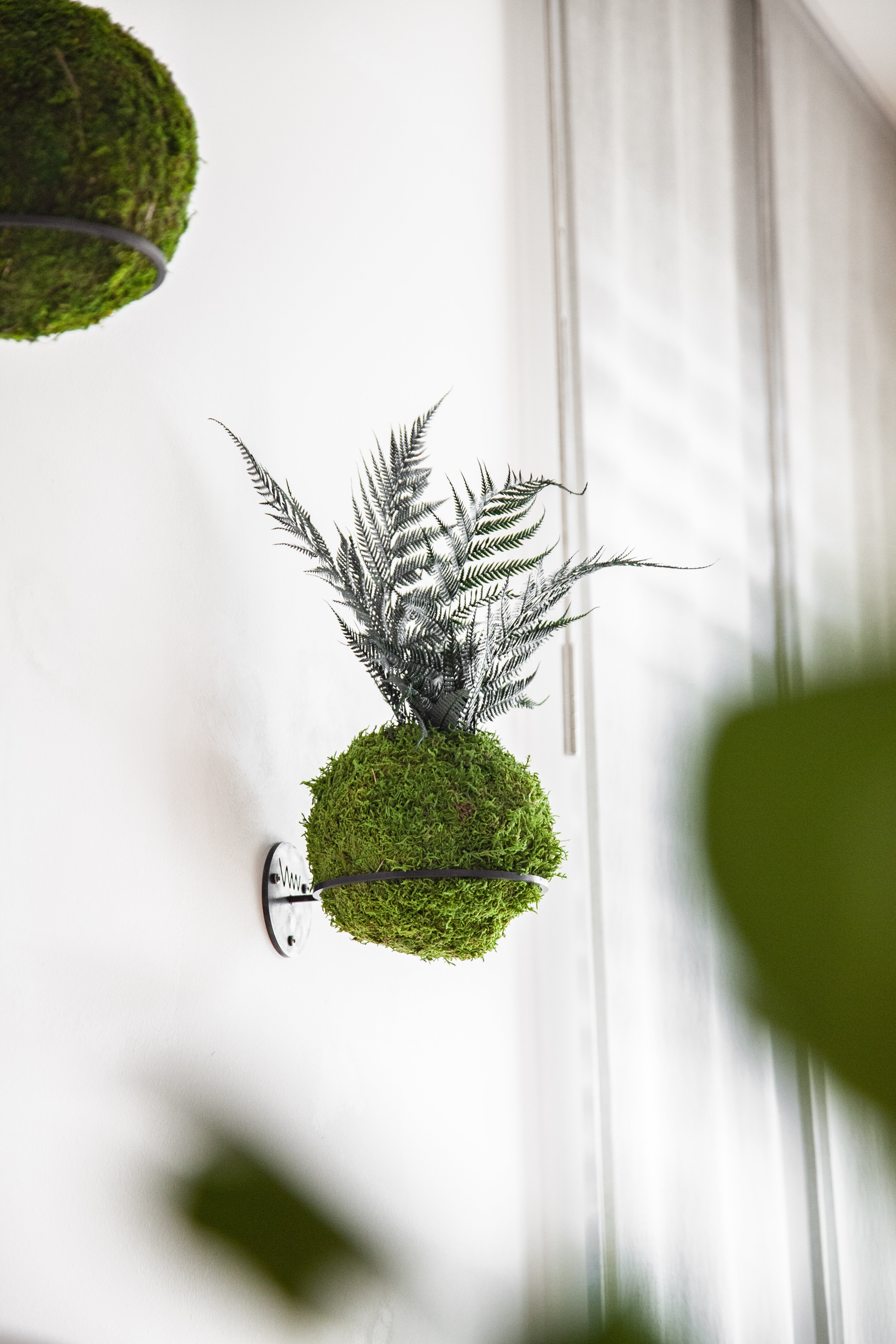 WunderWelt-Kokedama-Wandring-02.jpg